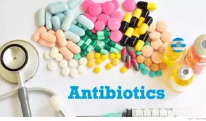 Understanding Antibiotics: A Scientific and Technical Overview