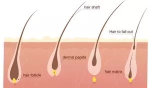 Understanding AGA Treatment Drug: A Comprehensive Scientific Overview