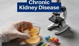 Chronic Kidney Disease: A Comprehensive Technical Overview