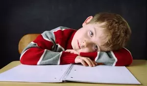 Attention-Deficit: A Comprehensive Technical and Biological Overview