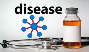 Understanding Sleep Apnea: A Physiological and Clinical Overview