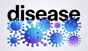 What Is a Chronic Disease? A Technical and Clinical Overview