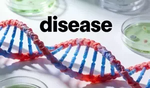 What Does “Autoimmune Disease” Mean? A Clinical and Physiological Overview