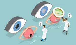 Macular Disease: A Technical and Clinical Overview