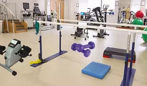 Rehabilitation Training Devices: A Neutral Scientific Overview of Principles