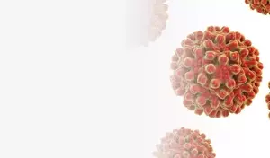 Hepatitis B: A Neutral Scientific Overview of a Viral Liver Infection