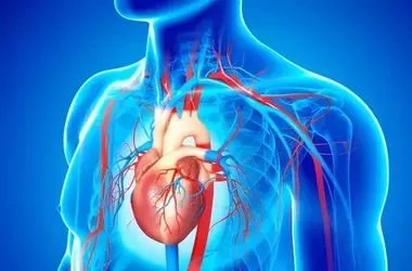 Heart Health Matters: Take Control of Your Future