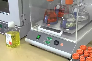 Laboratory Incubator Shakers: A Versatile Tool for Life Science Research