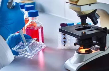 A Closer Look: A Comprehensive Guide to Microscopes