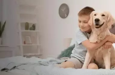 The Best Dog Cleaning and Grooming Products