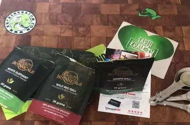 Natural Wellness Solutions for Every Lifestyle