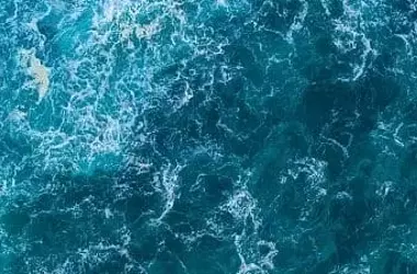 Mar Menor Alerta: Temperaturas Récord Amenazan el Ecosistema