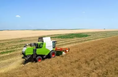 La Agricultura Industrial y su Huella Ambiental: Un Llamado de Atención de la OCDE y la FAO