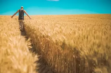 La Propuesta de la Nueva PAC Genera Fuerte Rechazo en el Sector Agrario Europeo