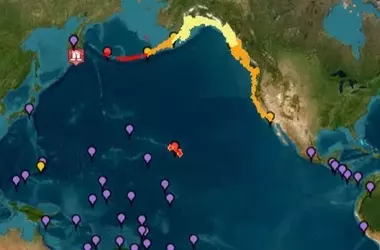 Alerta de Tsunami Global Tras Potente Terremoto en Kamchatka