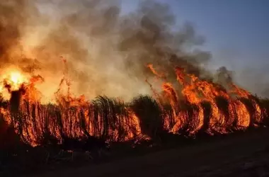 Incendio Forestal Devasta Ávila: El Arenal Confinado y Lucha Incesante Contra las Llamas