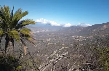Seremi de Medio Ambiente y SAG avanzan en la protección del Palmar de Petorca