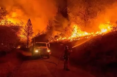Portugal bajo el azote de incendios forestales: Una crisis recurrente