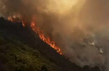 Incendios Forestales: Ourense en Alerta Máxima mientras Ávila y Las Hurdes Encuentran Respiro