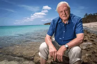 La Última Obra de David Attenborough Aboga por la Protección Marina Global