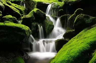 MITECO: Guardián del Futuro Sostenible de España