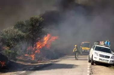 Incendios Forestales en Ávila: Un Llamado Urgente a la Gestión Forestal Eficaz