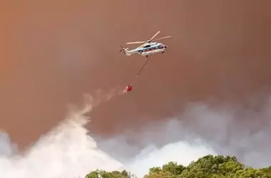 Incendio Forestal en Tarifa: Un Desalojo Rápido y Esfuerzos de Contención