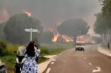 Catástrofe Forestal en Francia: Incendio Devasta 11,000 Hectáreas y Causa Víctimas