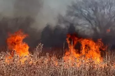 Galicia Sufre Graves Incendios Forestales Mientras Otros Focos Azotan España