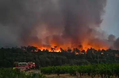 Controlado el Incendio Forestal Más Grande de Francia Desde 1949