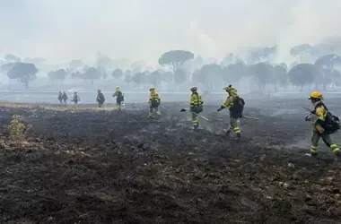 Incendio en San Bartolomé de Pinares: Control y desafíos en Ávila