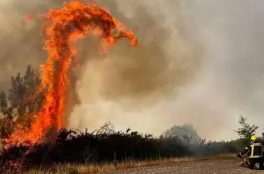 La Amenaza Incesante de los Incendios Forestales en España: Urge una Estrategia Preventiva Integral