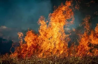 La imperativa necesidad de prevención en la lucha contra los incendios forestales en España