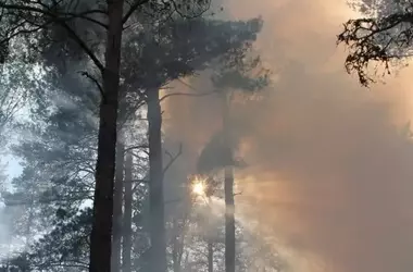 Incendio Forestal en Toledo: Desafíos y Avances en la Contención