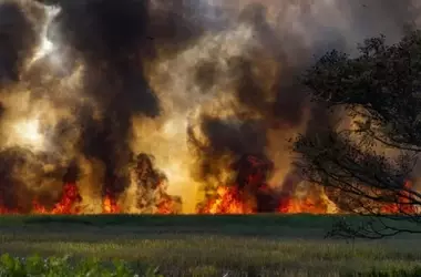 Comprensión de la Clasificación de Incendios Forestales: De la Alerta Local al Interés Nacional