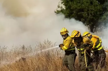 España Enfrenta Devastadores Incendios Forestales con Víctimas y Daños Extensos