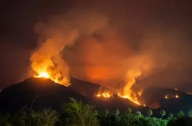 España ante el Desafío de los Incendios Forestales: Urge un Enfoque Científico en la Prevención y Restauración