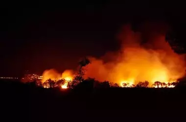 Derecho a Ayudas para Víctimas de Incendios Forestales: Un Llamado Urgente a la Solidaridad y la Reconstrucción