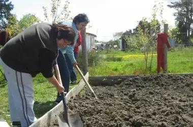 Fondo de Protección Ambiental: Impulsando Proyectos Comunitarios para un Entorno Sostenible