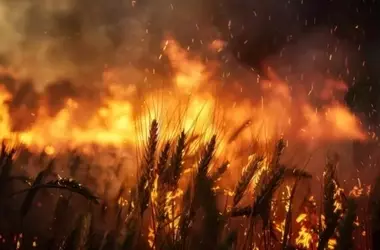 Alerta Máxima: El Riesgo de Incendios Forestales Persiste en España