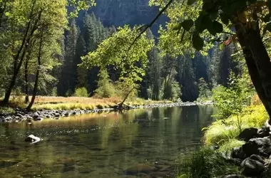 Día Mundial de los Ríos: Promoviendo la Conciencia y Protección Fluvial