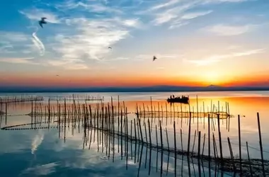Inversión Millonaria para la Restauración y Resiliencia de la Albufera de Valencia tras Fenómenos Extremos