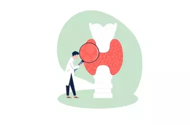 Ormoni Tiroidei: Ruolo di FT3 e FT4 nel Metabolismo