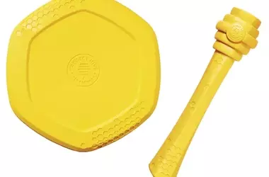 Innovative Pet Toys Bolster Bee Conservation Efforts