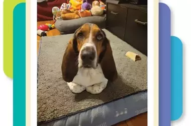 From College Pastime to Philanthropic Empire: The WeRateDogs Phenomenon