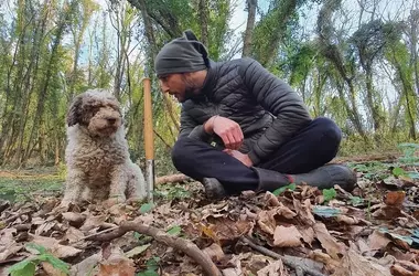 The Art of Truffle Hunting with Canine Companions
