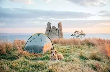 A Man and His Dog's Epic Seven-Year Global Trek