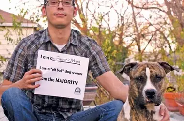 Challenging Stereotypes: The Majority Project for 'Bully Breed' Dogs