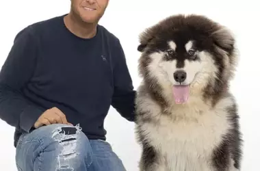 From Commercial Photography to Philanthropic Pet Portraits: The Story of Rover