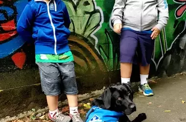 The Impact of an Autism Support Dog: Roman's Journey